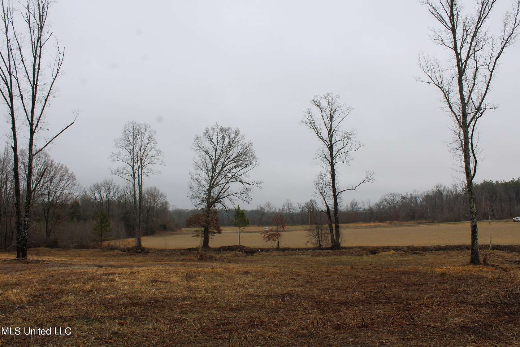 18.8 Acres of Land for Sale in Byhalia, Mississippi