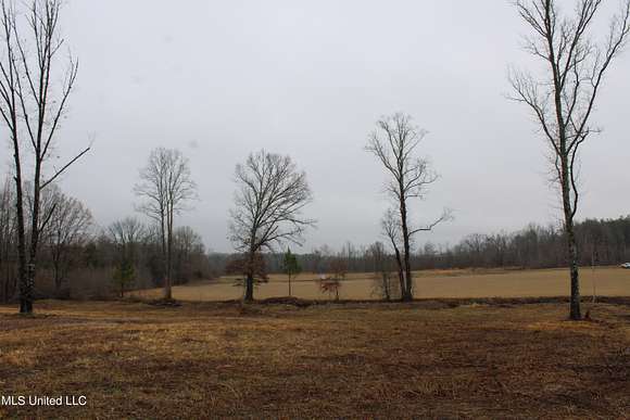 18.8 Acres of Land for Sale in Byhalia, Mississippi