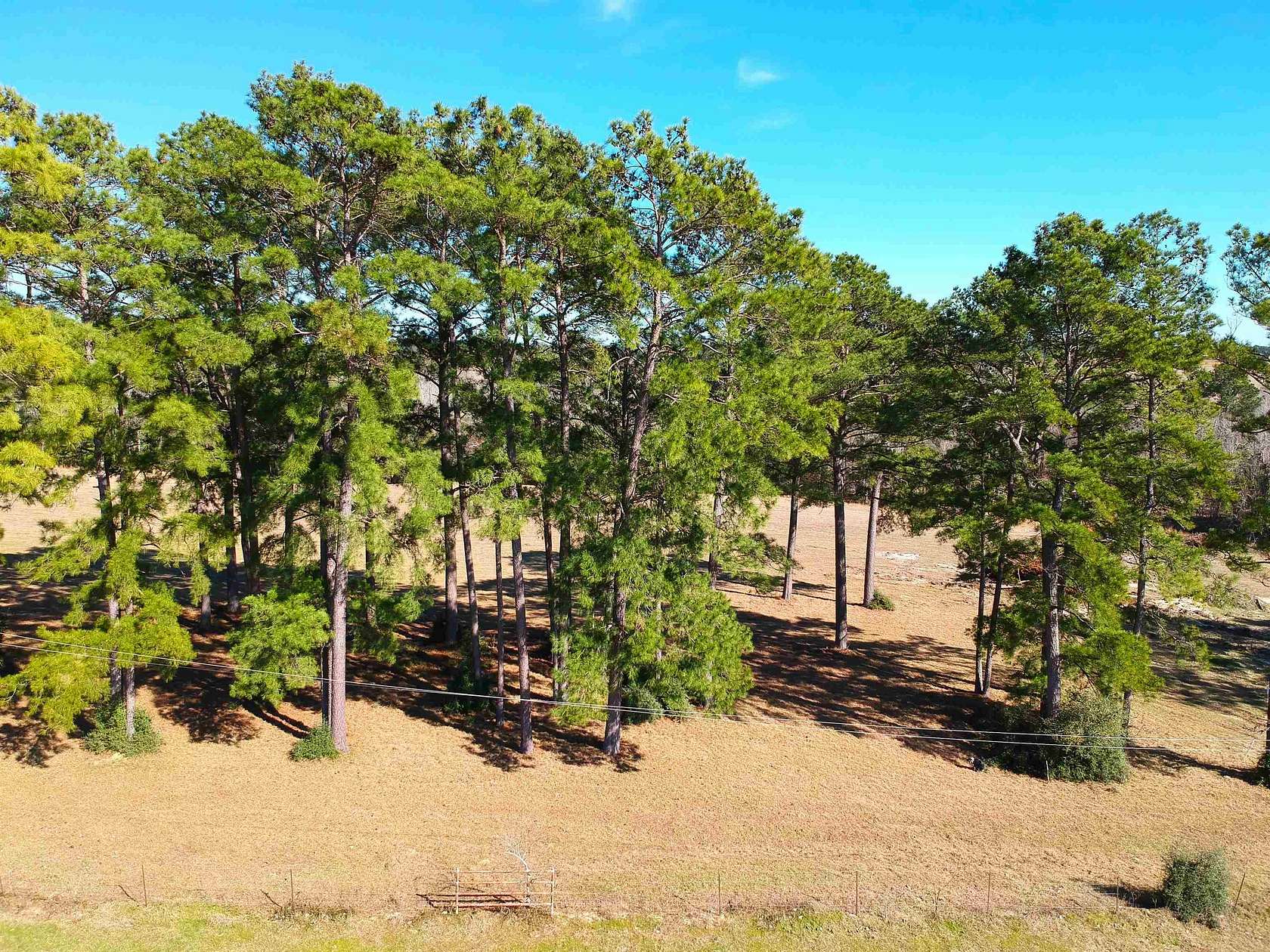 3 Acres of Residential Land for Sale in Hillister, Texas