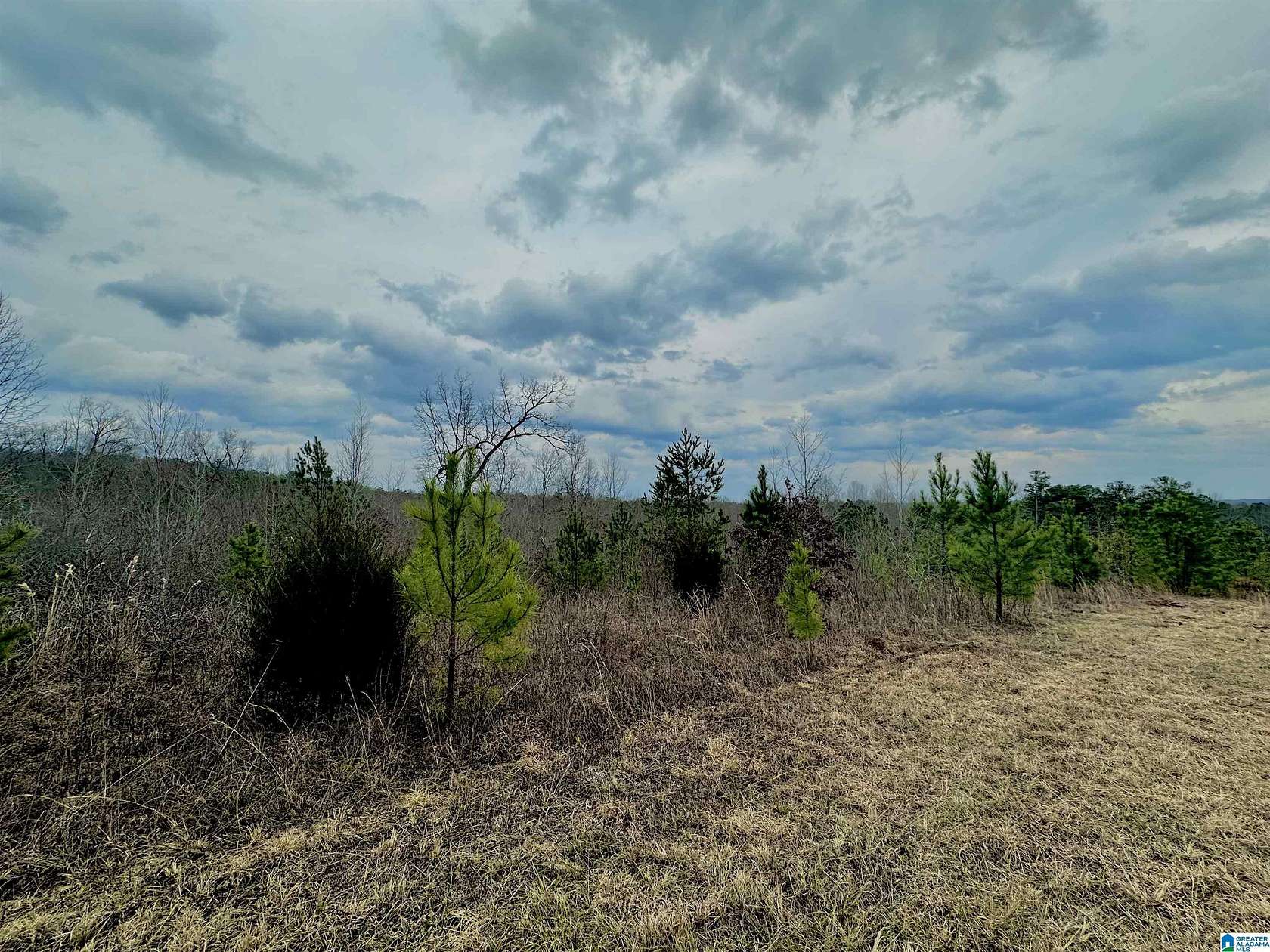 9.4 Acres of Residential Land for Sale in Ashland, Alabama