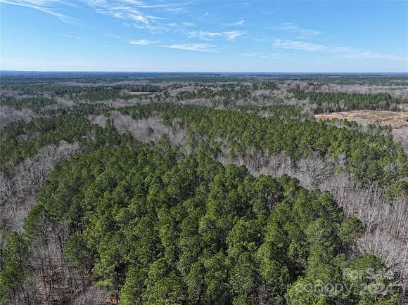 37.5 Acres of Land for Sale in Wadesboro, North Carolina