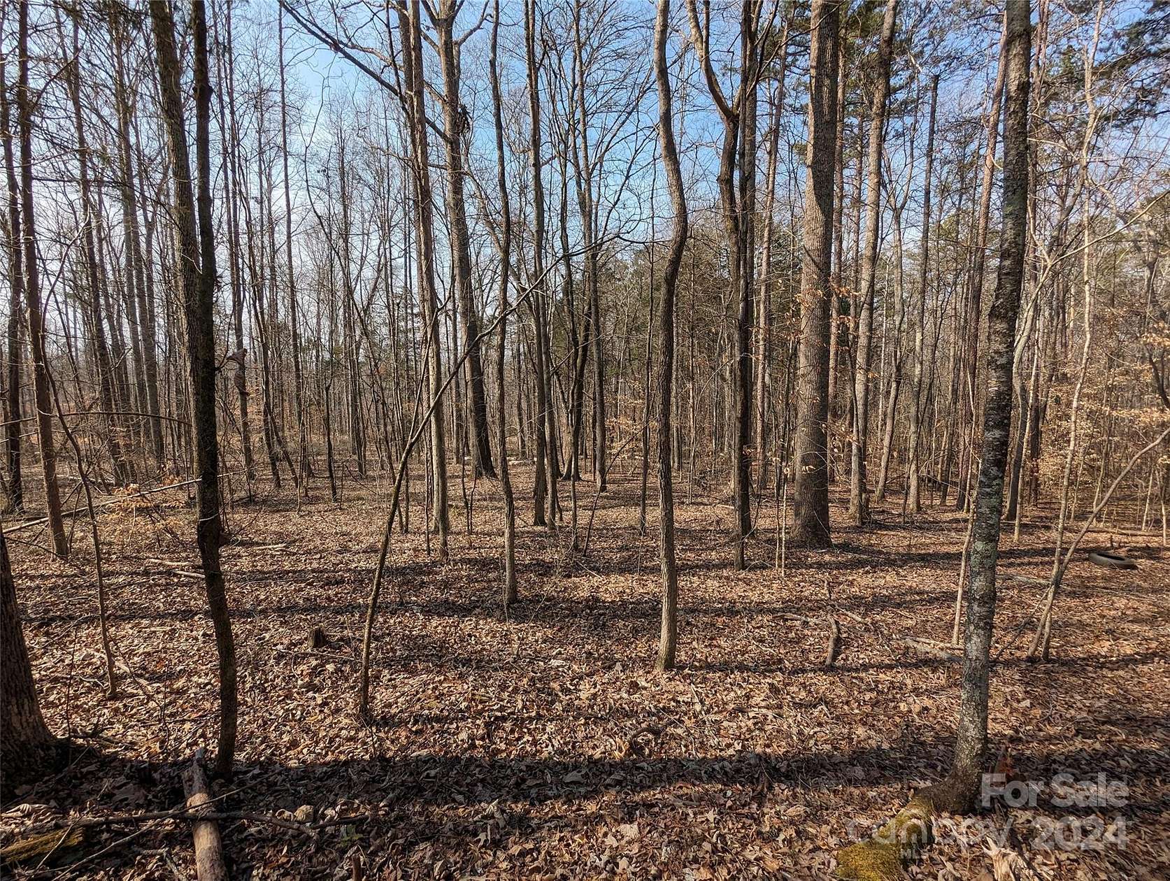 15 Acres of Land for Sale in York, South Carolina