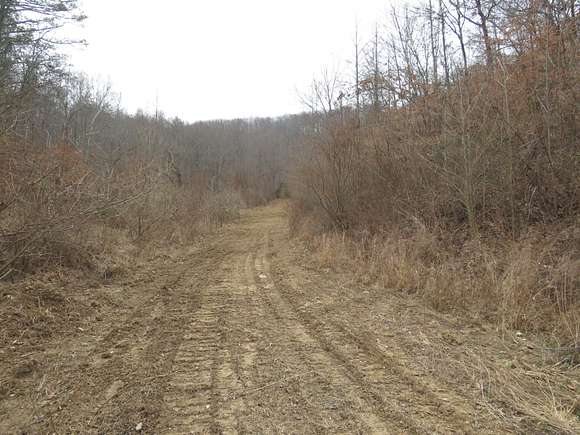 36.84 Acres of Recreational Land & Farm for Sale in Bryants Store, Kentucky