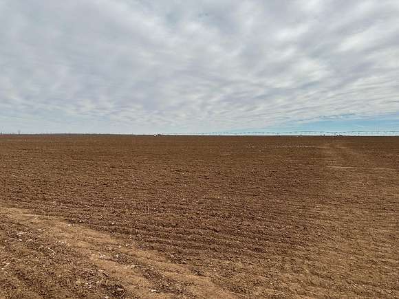 160 Acres of Agricultural Land for Sale in Floydada, Texas