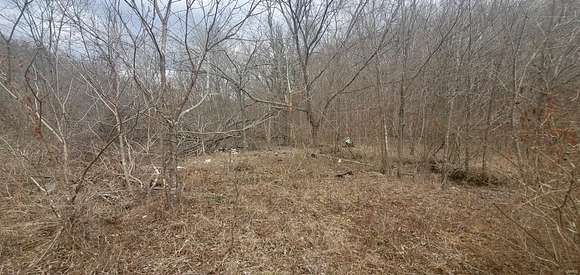 0.94 Acres of Residential Land for Sale in Waynesville, Missouri