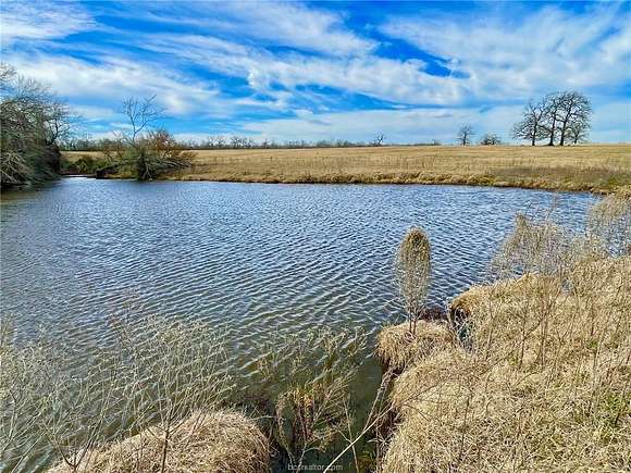 42 Acres of Recreational Land & Farm for Sale in Franklin, Texas
