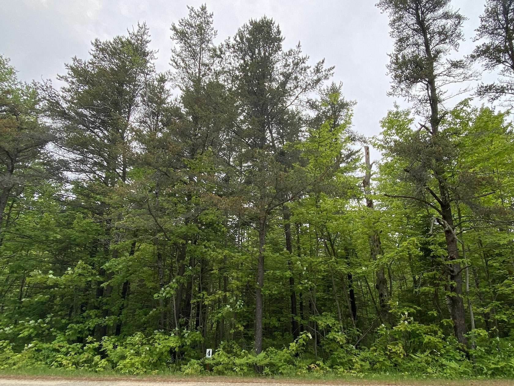 3.5 Acres of Residential Land for Sale in Paradise, Michigan
