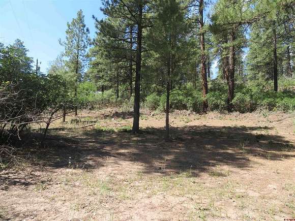 1 Acre of Residential Land for Sale in Pagosa Springs, Colorado