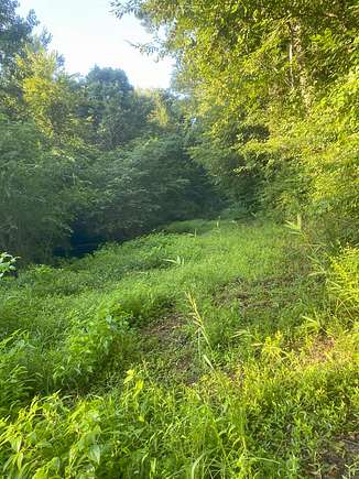 3.9 Acres of Residential Land for Sale in Roanoke Rapids, North Carolina