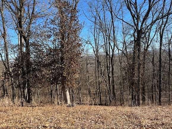 0.58 Acres of Land for Sale in Holiday Island, Arkansas