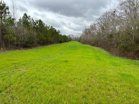 96.9 Acres of Recreational Land & Farm for Sale in Franklinton, Louisiana