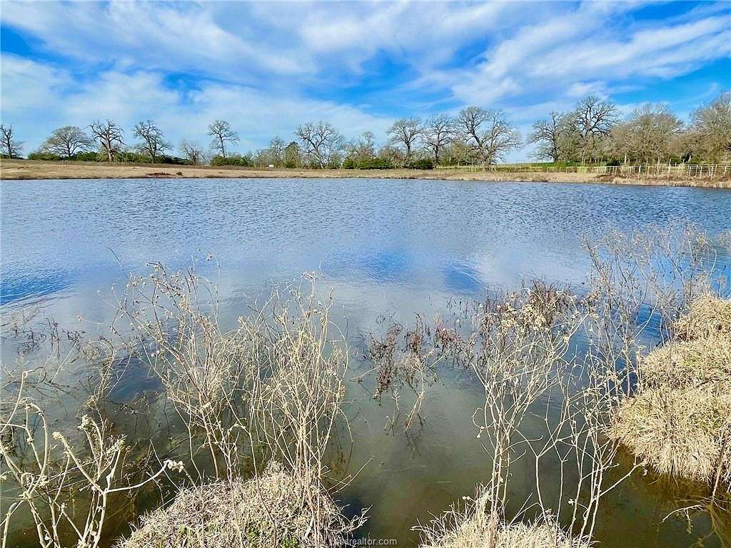 41.6 Acres of Recreational Land & Farm for Sale in Franklin, Texas