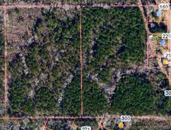 12.4 Acres of Land for Sale in Maple Hill, North Carolina
