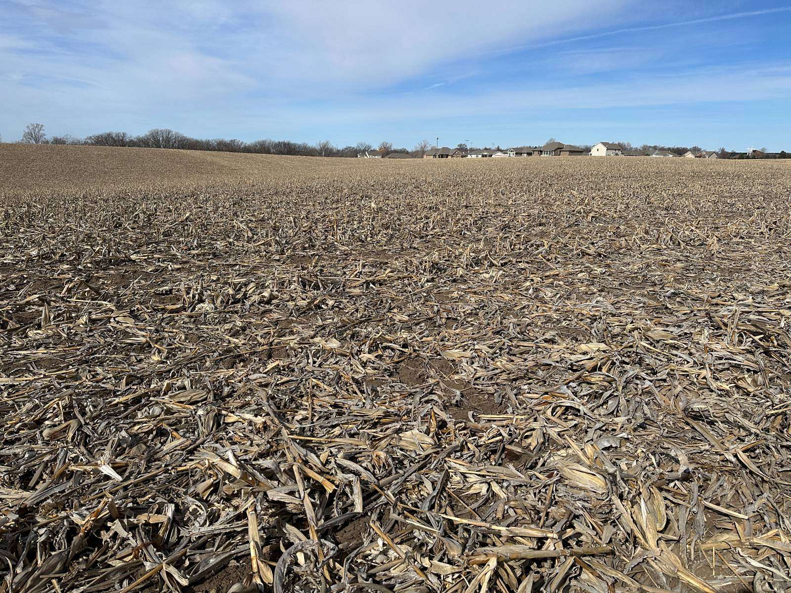 38.5 Acres of Agricultural Land for Sale in Springfield, Nebraska