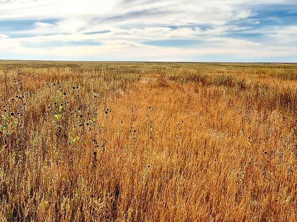 320 Acres of Land for Sale in Towner, Colorado