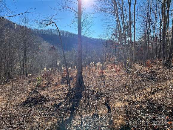 1.1 Acres of Land for Sale in Rutherfordton, North Carolina