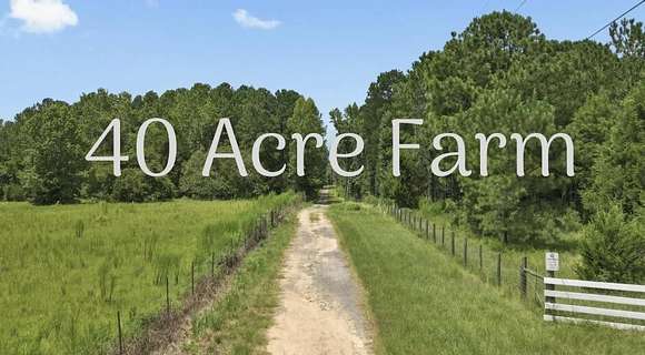 39.6 Acres of Agricultural Land for Sale in DeFuniak Springs, Florida
