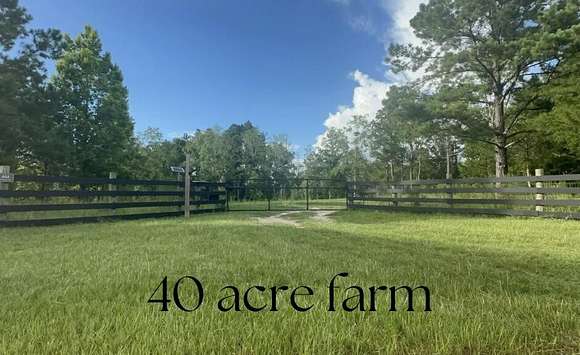 39.55 Acres of Agricultural Land for Sale in DeFuniak Springs, Florida