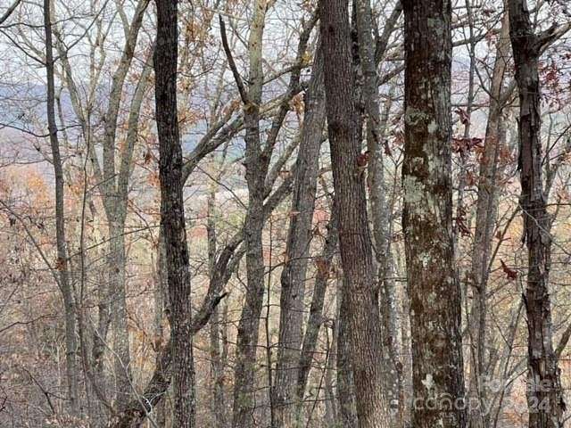 37.5 Acres of Land for Sale in Bostic, North Carolina
