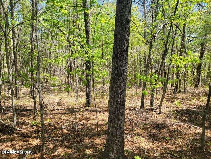 7.4 Acres of Residential Land for Sale in Deer Lodge, Tennessee