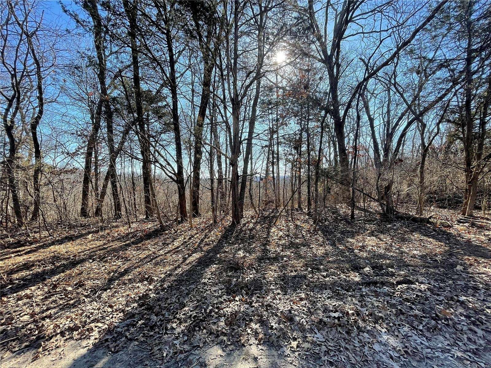 15 Acres of Land for Sale in Dittmer, Missouri