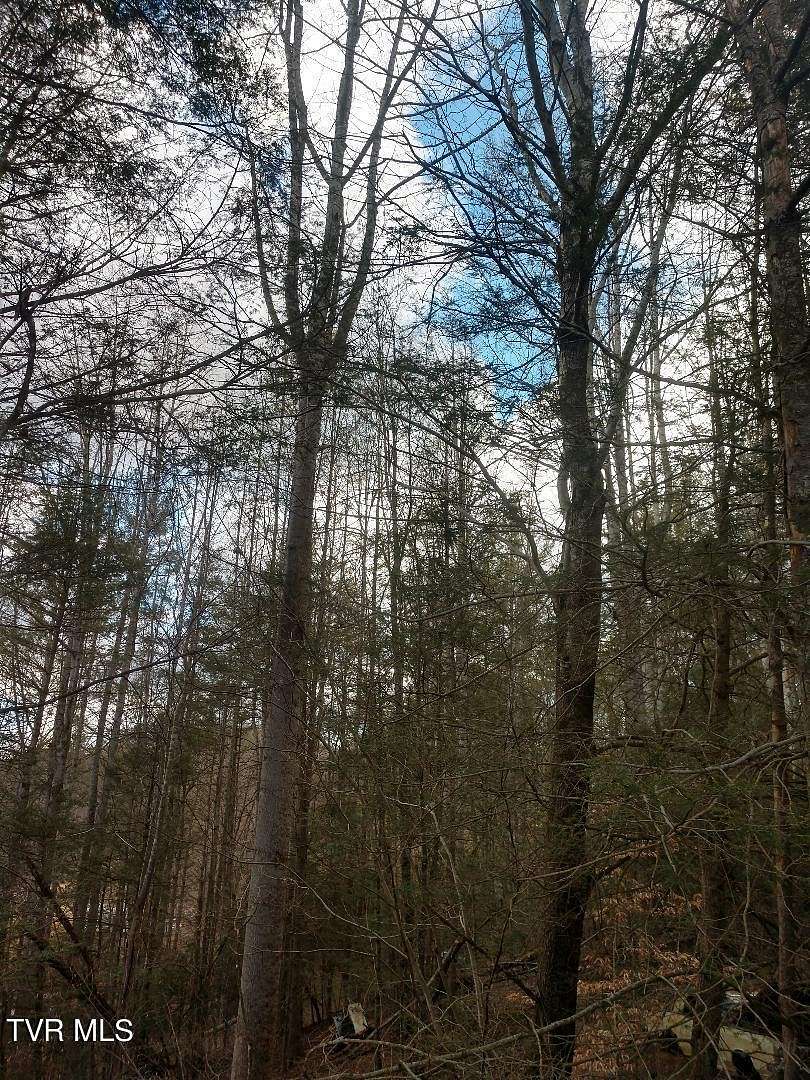 0.31 Acres of Land for Sale in Roan Mountain, Tennessee