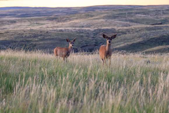 5784 Acres of Land for Sale in Gillette, Wyoming