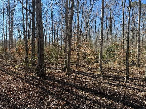 5 Acres of Land for Sale in White Pine, Tennessee