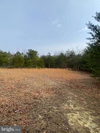 10 Acres of Recreational Land for Sale in Gordonsville, Virginia