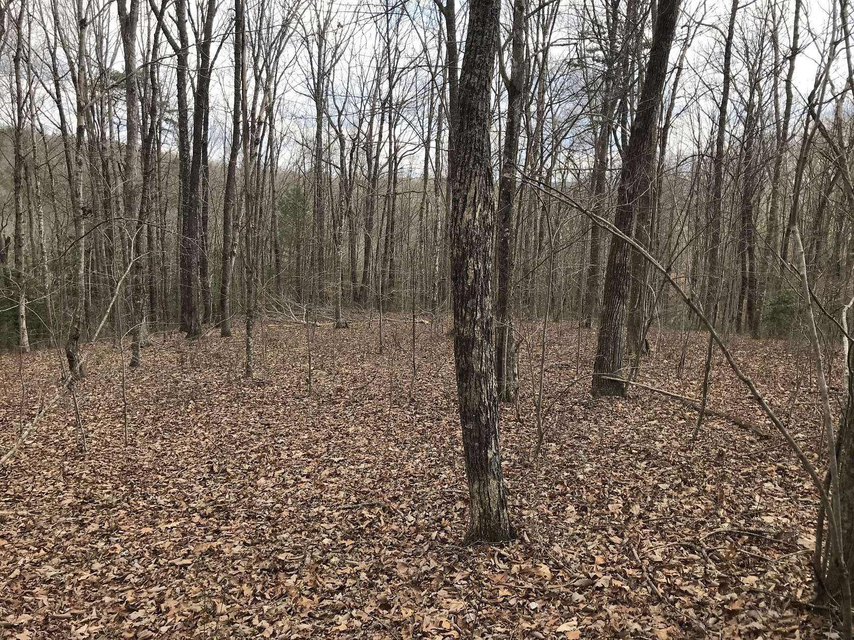 1.4 Acres of Residential Land for Sale in Dunlap, Tennessee