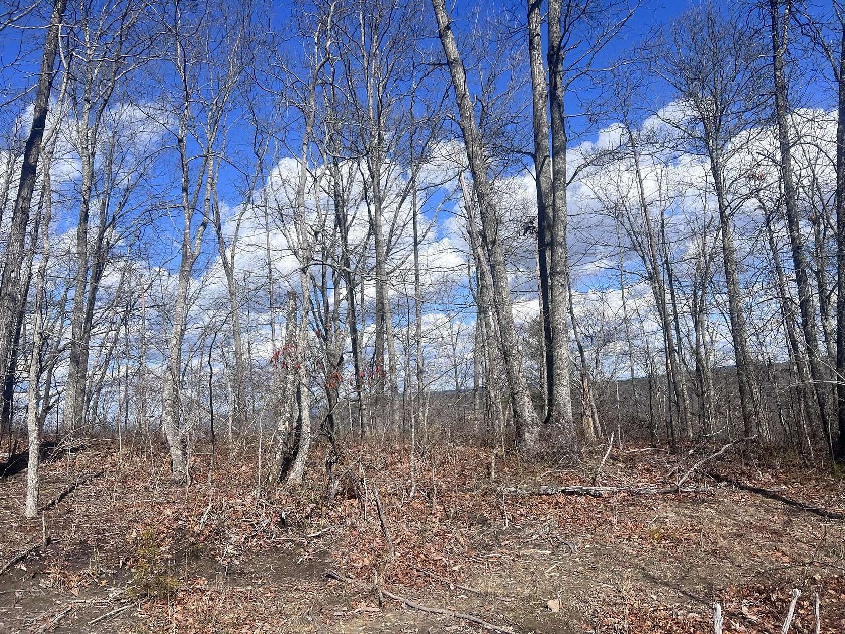 2.3 Acres of Residential Land for Sale in New Hope, Tennessee