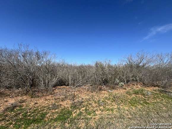 1 Acre of Residential Land for Sale in Devine, Texas