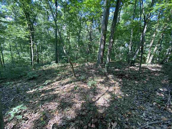 0.3 Acres of Residential Land for Sale in Santa Claus, Indiana