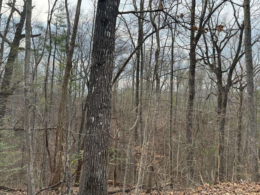 0.74 Acres of Residential Land for Sale in Sevierville, Tennessee