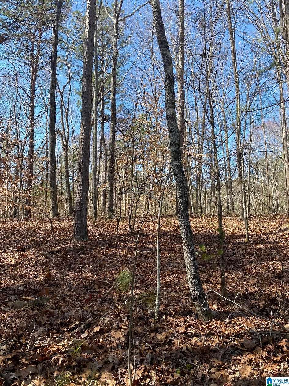 8.5 Acres of Residential Land for Sale in Pell City, Alabama