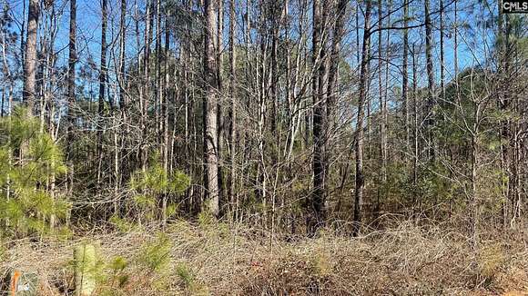 0.17 Acres of Land for Sale in Columbia, South Carolina