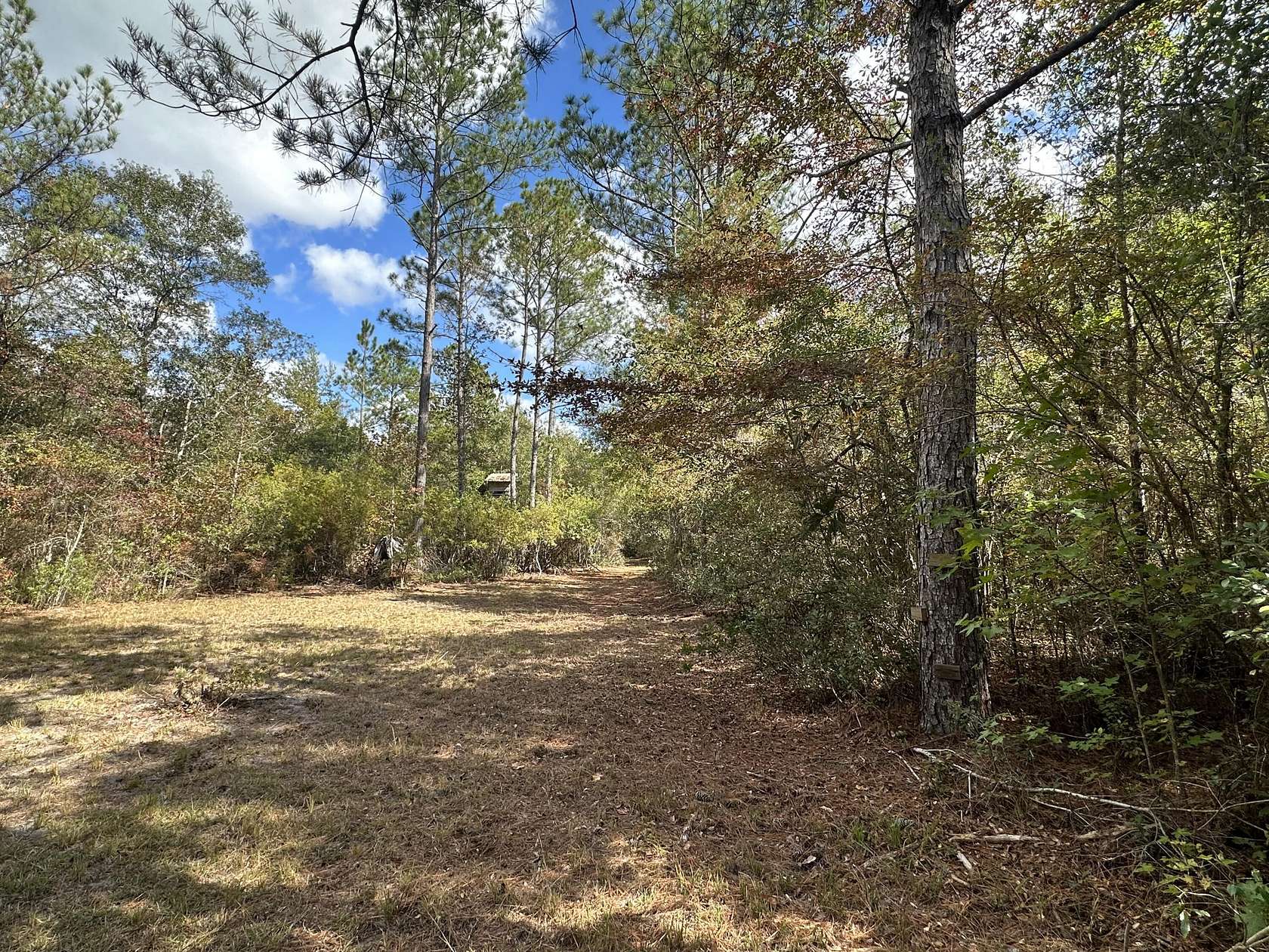 30 Acres of Recreational Land for Sale in Crestview, Florida