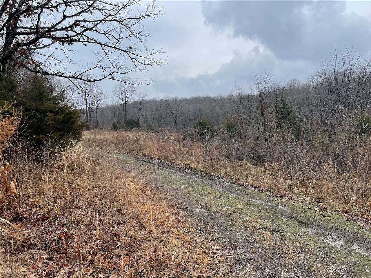 8.4 Acres of Land for Sale in Summer Shade, Kentucky
