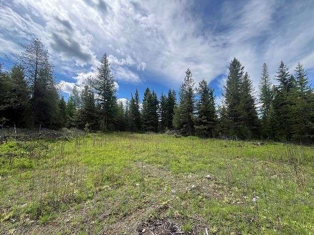 9.4 Acres of Residential Land for Sale in Whitefish, Montana