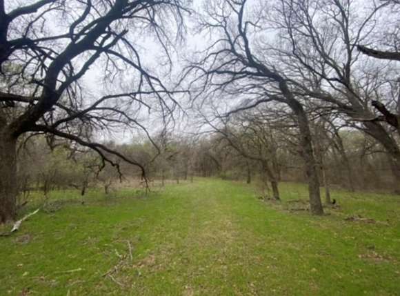 24.3 Acres of Land with Home for Sale in Brock, Texas
