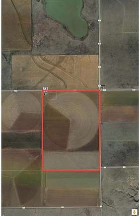 217 Acres of Land for Sale in Lockney, Texas