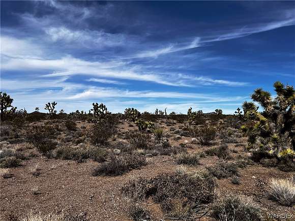 1 Acre of Residential Land for Sale in White Hills, Arizona