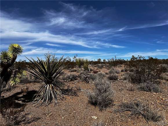 1.01 Acres of Residential Land for Sale in White Hills, Arizona