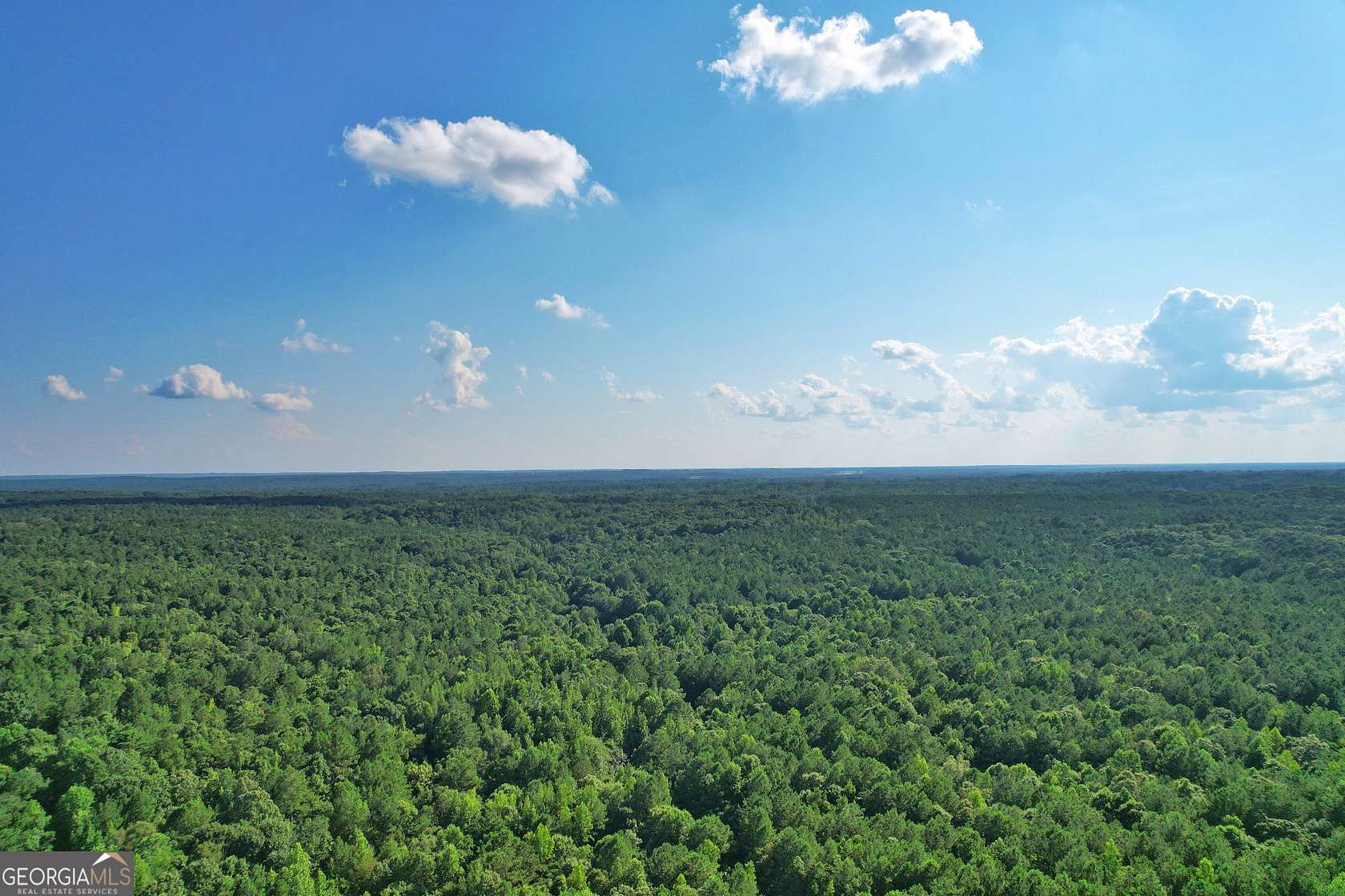 198.62 Acres of Recreational Land for Sale in Buckhead, Georgia