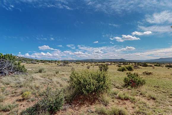 20.2 Acres of Agricultural Land for Sale in Mountainair, New Mexico