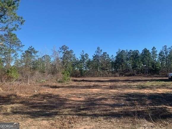 77.8 Acres of Land for Sale in Mauk, Georgia