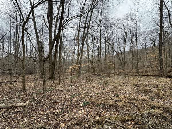 500 Acres of Recreational Land for Sale in Hillsboro, Kentucky