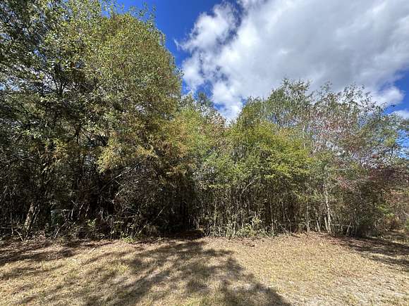 15 Acres of Recreational Land for Sale in Crestview, Florida