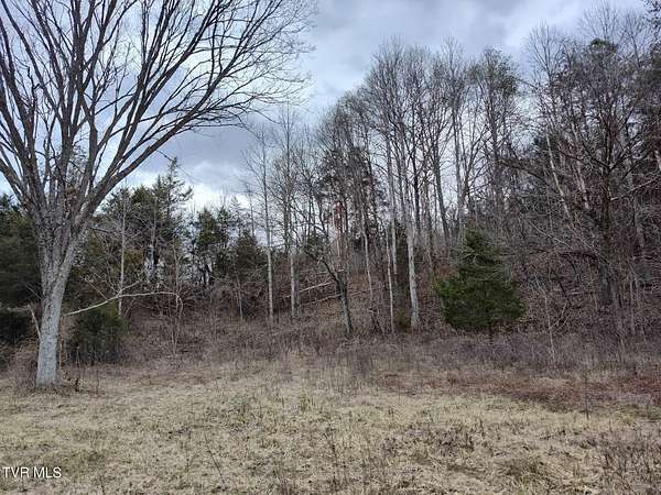 100 Acres of Agricultural Land for Sale in Surgoinsville, Tennessee