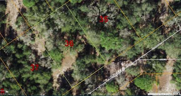 0.22 Acres of Commercial Land for Sale in Dunnellon, Florida